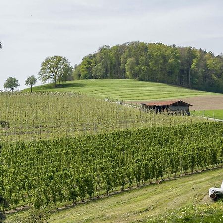 Ferienwohnung Lang Kressbronn am Bodensee Eksteriør billede