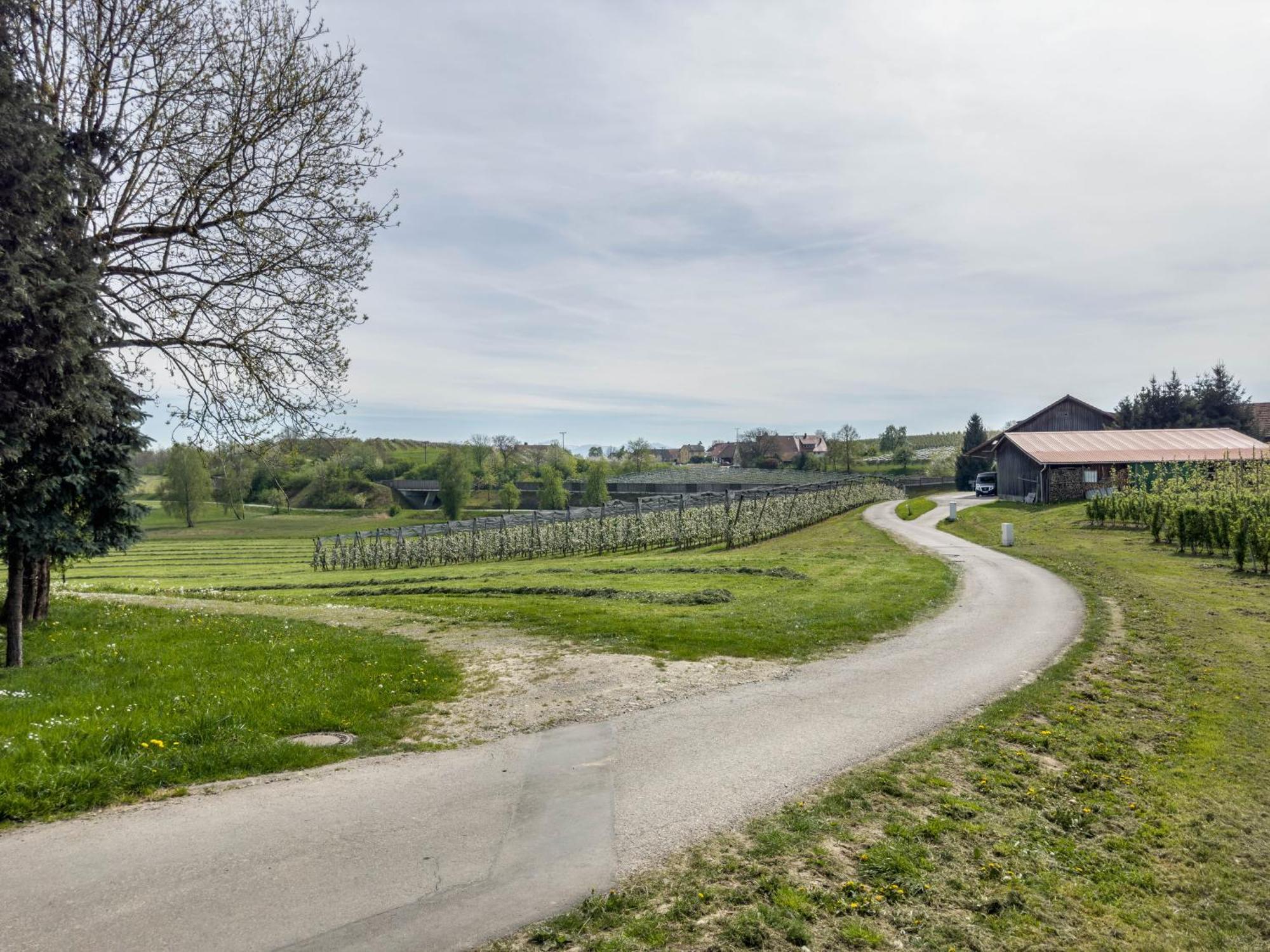 Ferienwohnung Lang Kressbronn am Bodensee Eksteriør billede